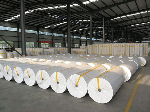 天宁狭缝式涤纶纺粘无纺布